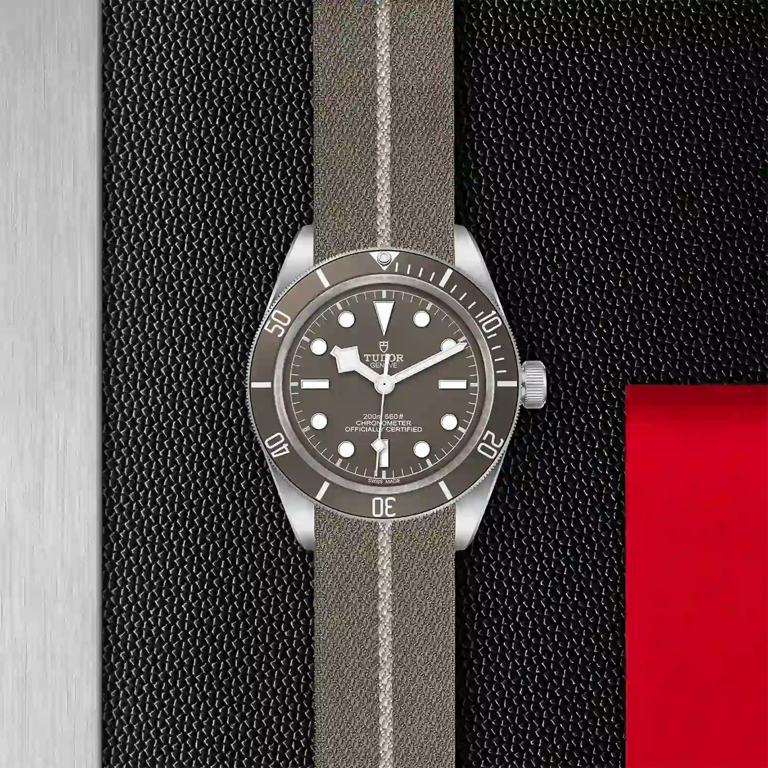 Tudor